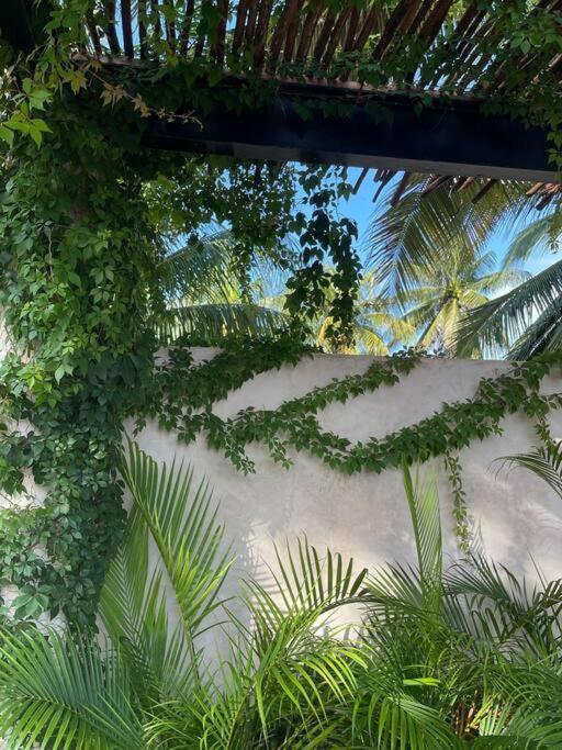 Casa Tulup Sisal Exterior foto